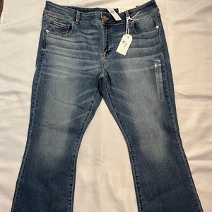 New American Eagle Super Stretch Kickboot Jeans  Plus Size 18 short